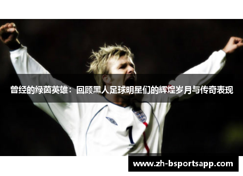曾经的绿茵英雄：回顾黑人足球明星们的辉煌岁月与传奇表现